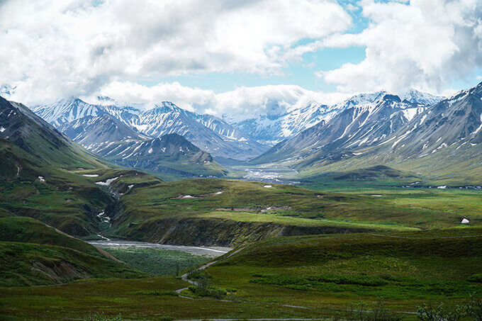 Into the wild Alaska - Denali National Park, Alaska | www.viktoriastable.com