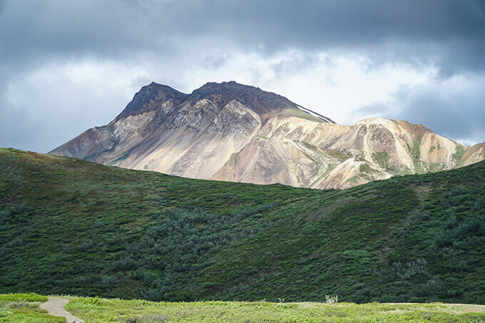 Into the wild Alaska - Denali National Park, Alaska | www.viktoriastable.com