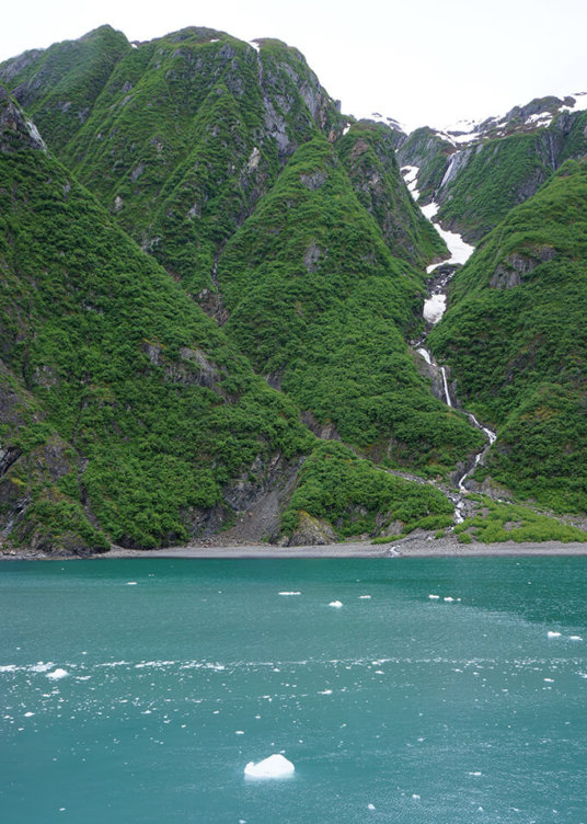 Into the wild Alaska - Seward boat cruise in Kenai Fjords National Park | www.viktoriastable.com