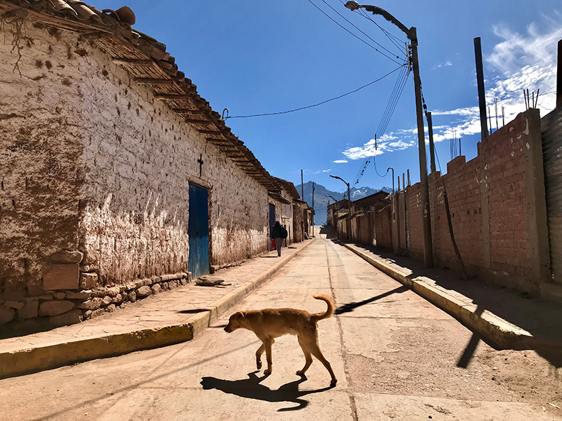 Maras - Peru