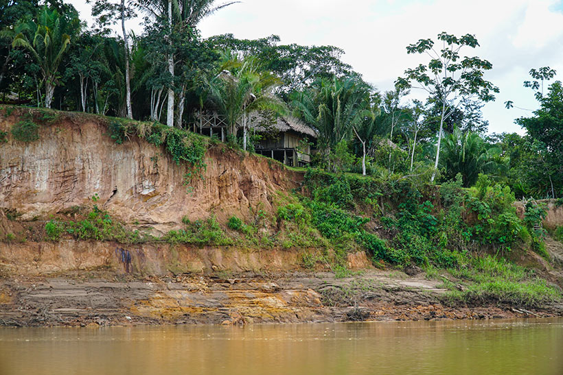 Amazon jungle, Tambopata river | www.viktoriastable.com